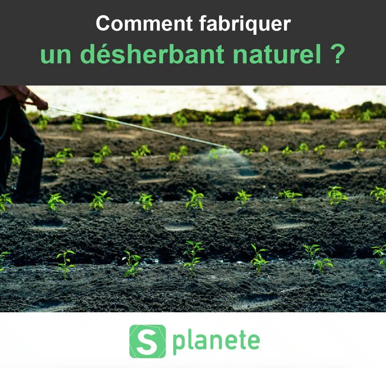 Pourquoi faire un désherbant naturel ?